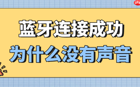 蓝牙连接成功为什么没有声音 可能是这几个问题