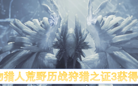 怪物猎人荒野历战狩猎之证3怎么获取