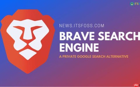 brave浏览器高效浏览体验 brave中文官网地址功能解析