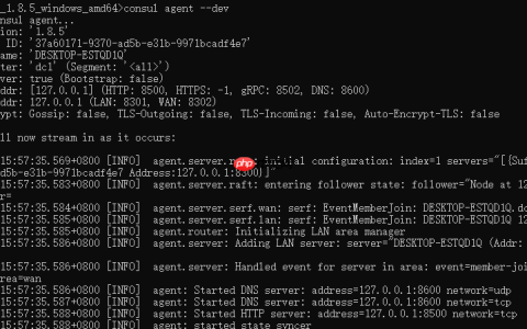 基于Spring Cloud Consul的服务注册与发现