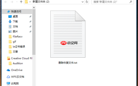 怎么恢复删除的文件?