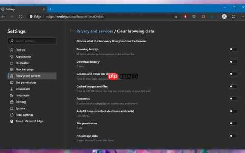 Win10 Edge Canary新增隐私选项，允许用户退出时选择清理数据