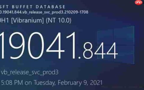Win10 20H1/20H2获可选更新：修复IE内存泄漏等问题
