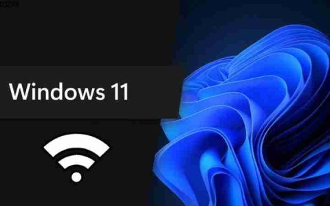 如何在Windows 11新预览版中启用DoT