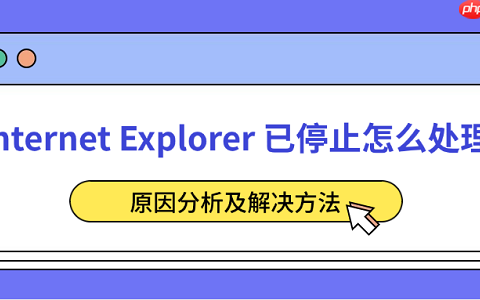 Internet Explorer 已停止怎么处理 原因分析及解决方法