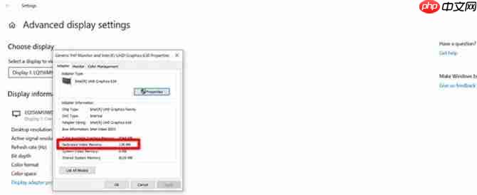 Win10专业版下如何检查VRAM ？