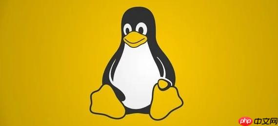 如何在Linux中查看CPU信息?使用lscpu命令显示处理器详细信息