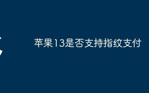 苹果13是否支持指纹支付