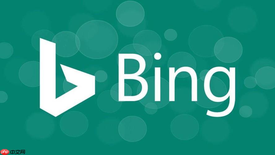 探索bing浏览器在线搜索优势 bing搜索引擎全球信息获取技巧