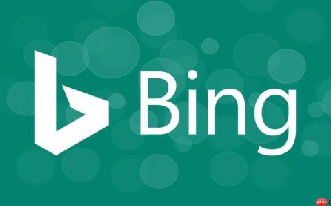 如何利用bing浏览器在线搜索 bing搜索引擎精准查询功能介绍