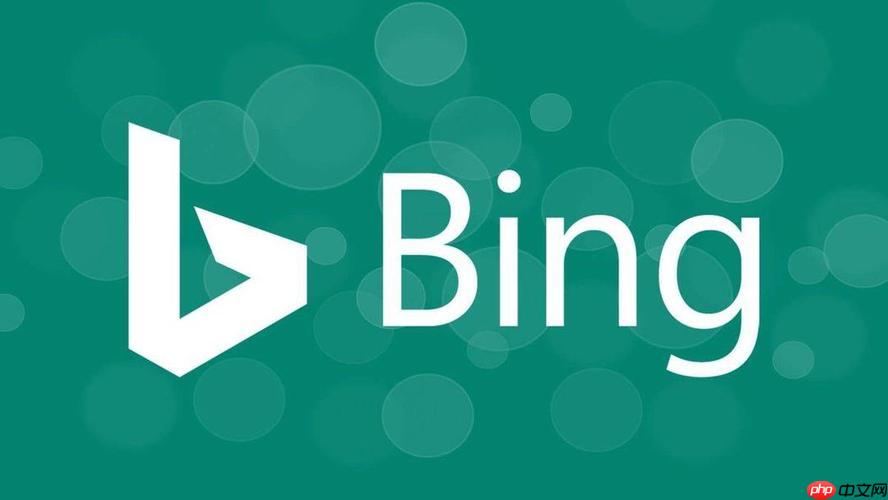 如何利用bing浏览器在线搜索 bing搜索引擎精准查询功能介绍