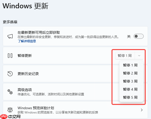 分享3种彻底关闭Win11更新的方法