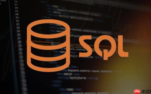 如何在SQLServer中优化视图查询？提升视图性能的实用指南