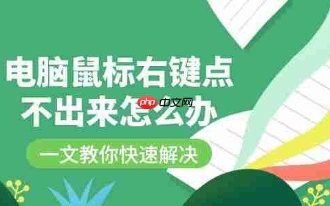 电脑鼠标右键点不出来怎么办 一文教你快速解决