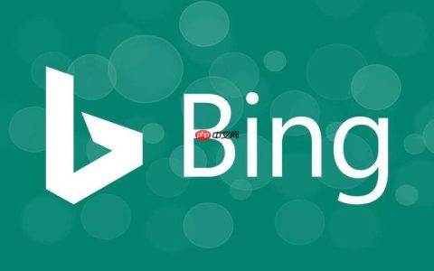 使用bing在线浏览器搜索方法 bing搜索引擎高效信息查询教程