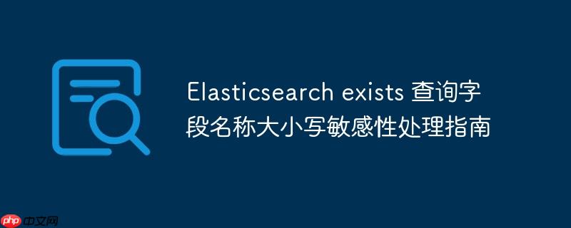 Elasticsearch exists 查询字段名称大小写敏感性处理指南