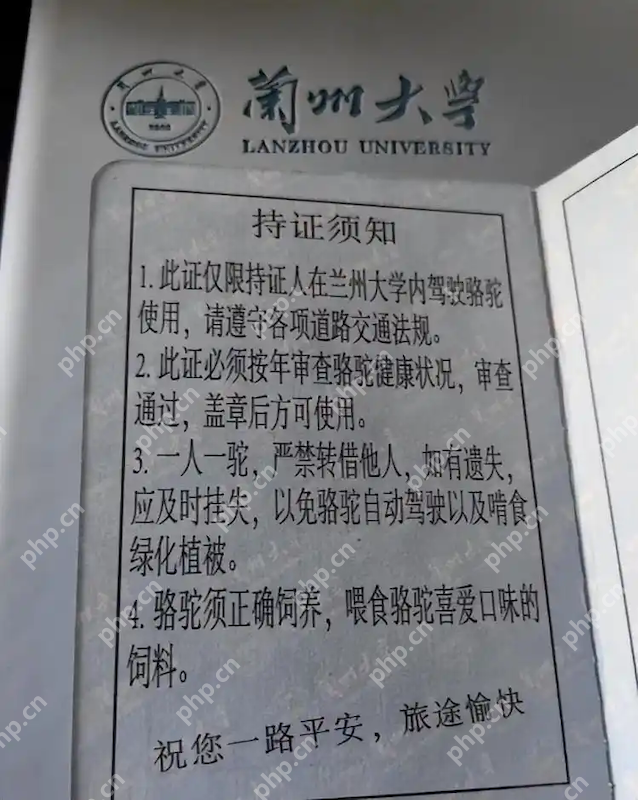 学生持证骑骆驼上学?兰州大学回应 - 创想鸟