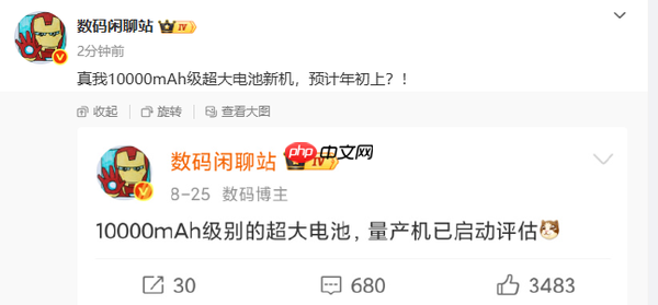 真我10000mAh电池手机或明年初发布 猜猜价格多少?