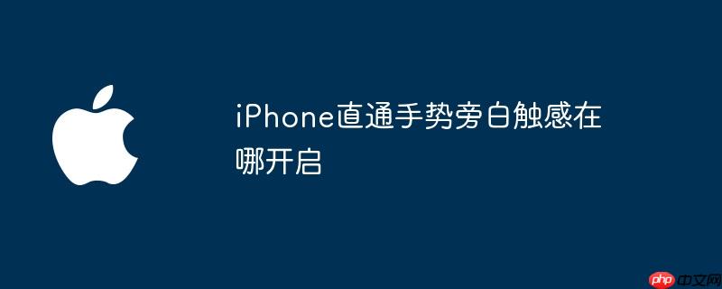 iphone直通手势旁白触感在哪开启