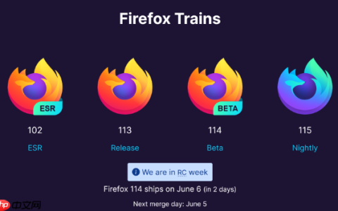 火狐浏览器高效打开网页入口-Firefox手机端网页一键直达