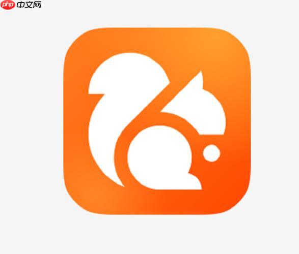 uc浏览器高效进入-uc浏览器在线访问地址