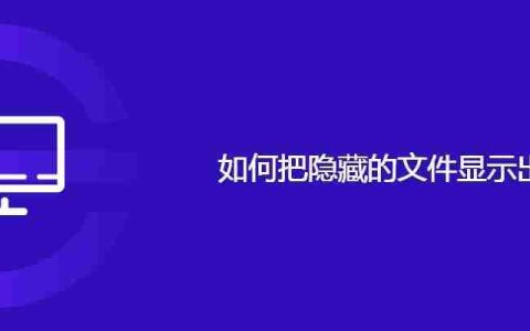 如何把隐藏的文件显示出来