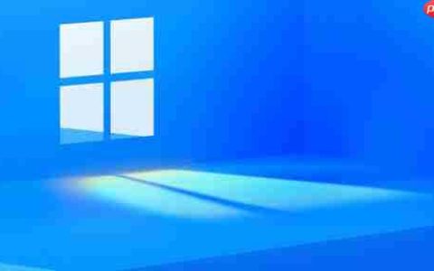 Windows11如何设置中文
