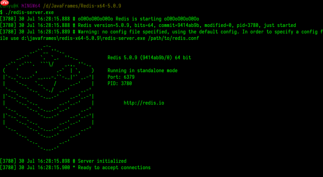 NoSQL 这么火,快来看看这份 Redis 简介