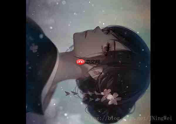 图像处理: 无损地旋转图像