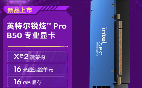 Intel锐炫Pro B50显卡国内上市：2999元！16GB大显存