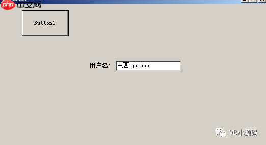 VB.NET 对ini配置文件操作类