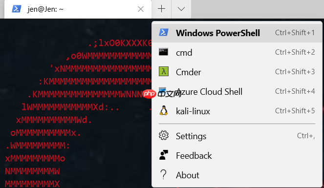 windows下打造漂亮的msf