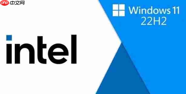 Win11系统运行浏览器等软件卡顿黑屏的解决方法
