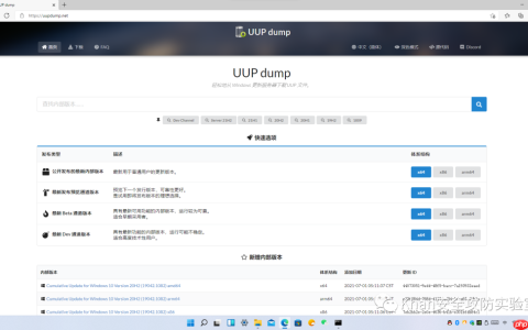 WIN11自定义版本ios镜像下载教程