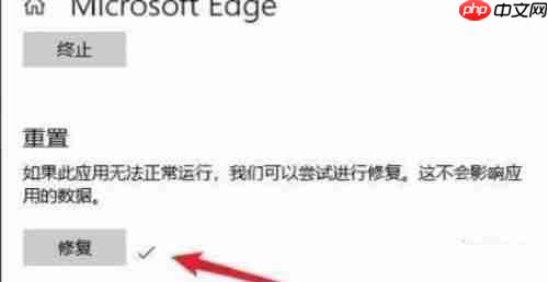 Win11无法启动浏览器 Win11自带浏览器打不开怎么办