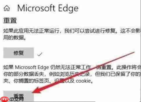 Win11无法启动浏览器 Win11自带浏览器打不开怎么办