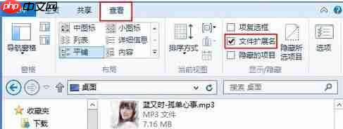 win10系统显示或隐藏文件扩展名的方法