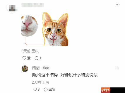 《黑神话》杨奇新动态吸睛引热议!这图案神似一款游戏