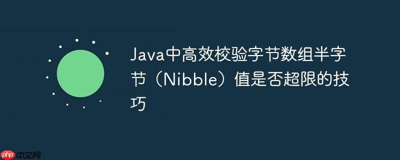 Java中高效校验字节数组半字节(Nibble)值是否超限的技巧