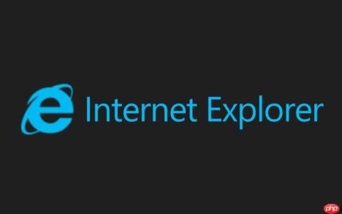 ie浏览器在线登录网页版-ie高速浏览器绿色版入口