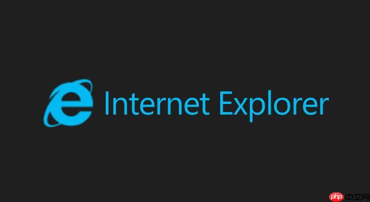 ie浏览器在线登录网页版-ie高速浏览器绿色版入口