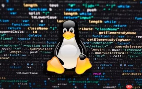 Linux网络配置基础入门指南