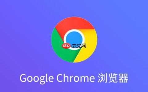 google浏览器下载链接 google浏览器入口链接