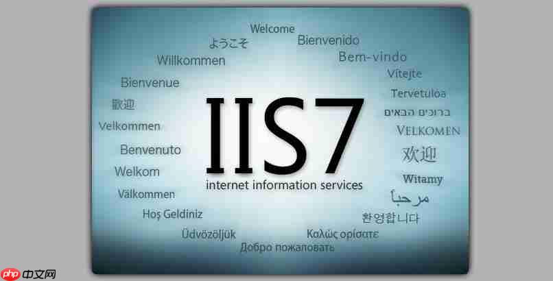 iis 7 was服务不可用的修复方法