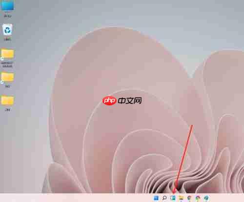 Win11如何添加小组件?Win11添加小组件的方法