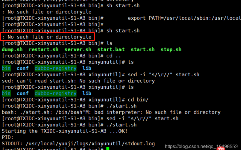 问题 linux下执行.sh 文件出现 no such file or directoryile