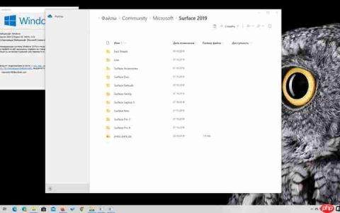 如何在PC上安装Win10X的现代化文件管理器
