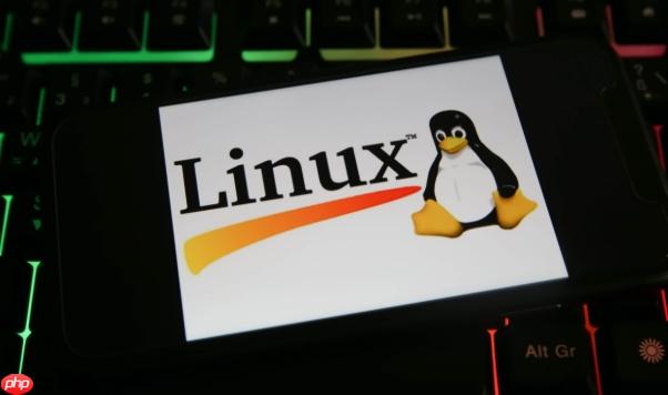 如何在linux中网络命名空间 linux ip netns隔离