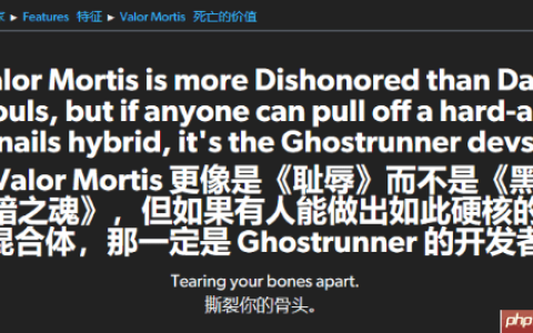 Eurogamer试玩第一人称新类魂《不朽遗志》：不像《黑魂》像《羞辱》