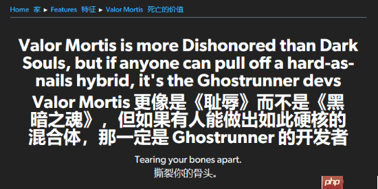 eurogamer试玩第一人称新类魂《不朽遗志》:不像《黑魂》像《羞辱》